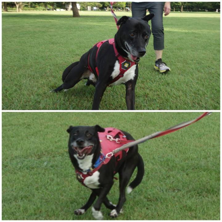 B97b8e8f c111 4f4a bc46 f9815fc0da8e 1693701599279