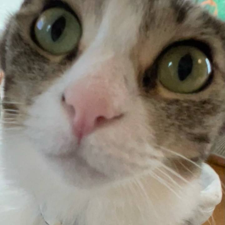 B97bdae0 fa8d 48e1 945c ea48c8e8d0e4 1731161517277