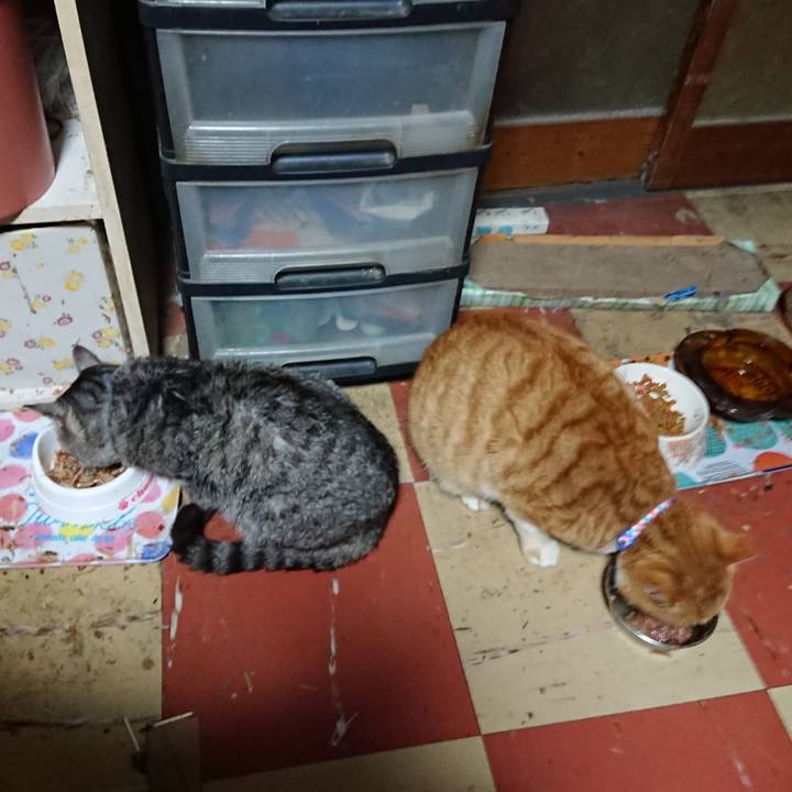 B97be789 46e4 41d5 8c75 8137c8956c69 1576698940929