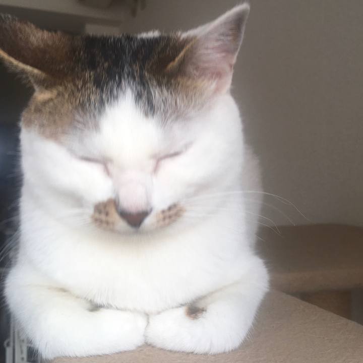 B97bf3d3 f149 47a9 9d46 8b16531175a1 1588319772648