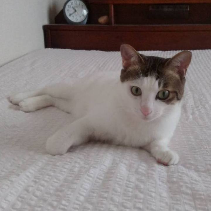 B97c4ce8 380c 4010 addd 50d7b76396cf 1691203793378