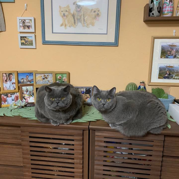 B97c7024 6ffe 40ff 8753 070c6659b510 1773477819592