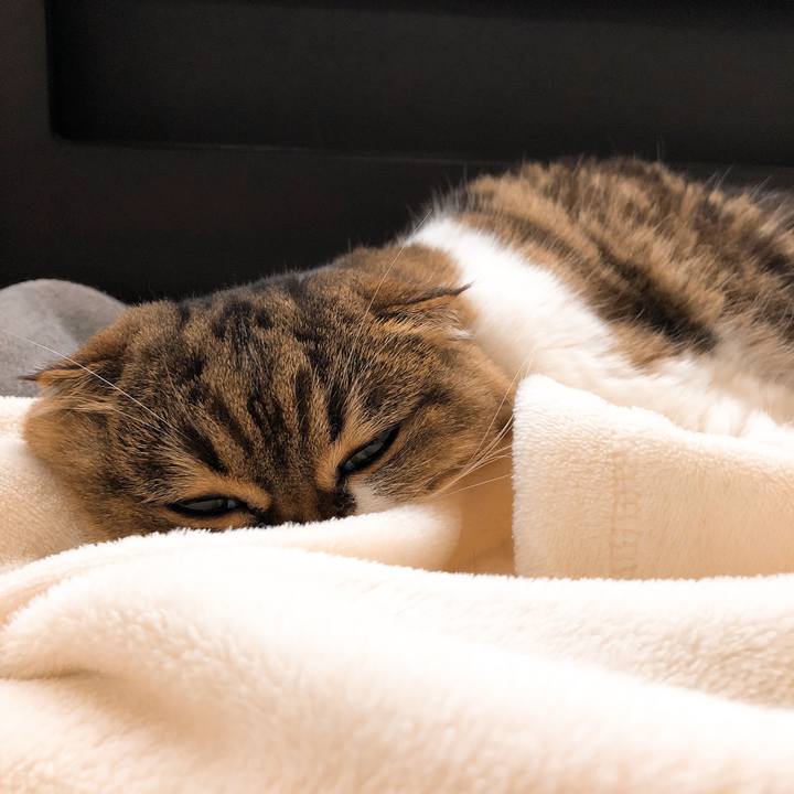 B97c89f0 20f9 435f aadc 7003250d938a 1544678782095