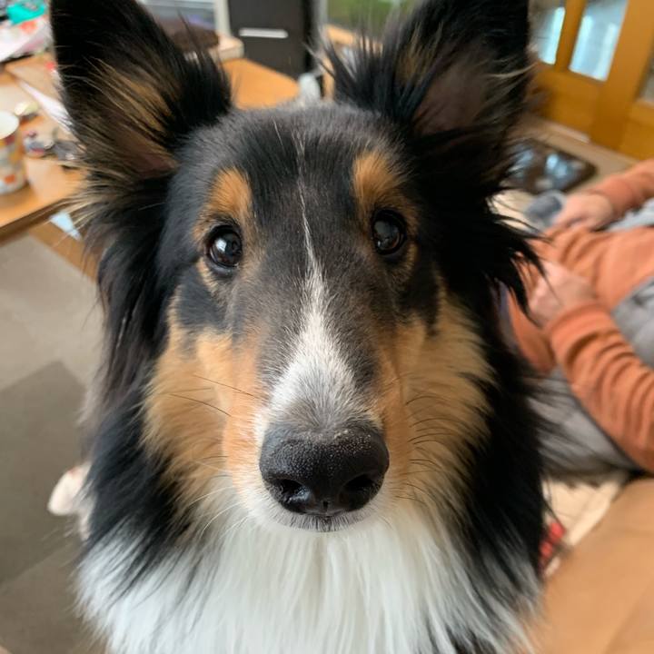 B97c8acf f1ac 4e9c 9ee1 c5db371ebb7f 1551511600085