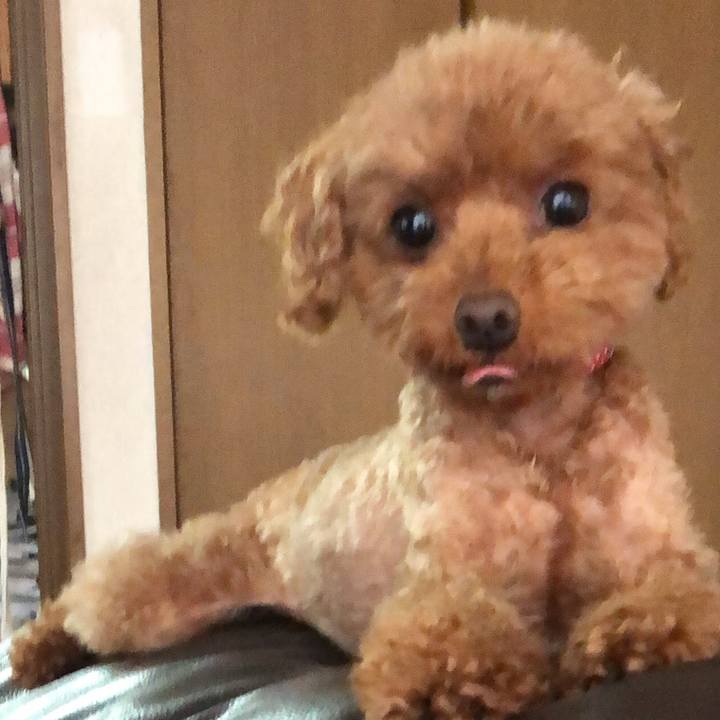 B97ca5ad 6515 4c2b 9e2b 8ba7ea1919a1 1559686809223