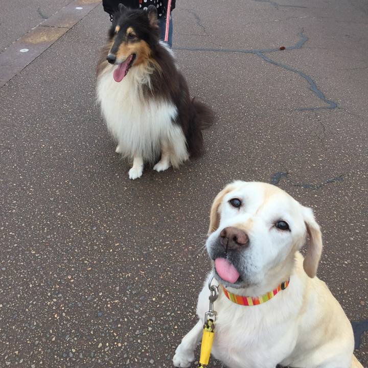 B97cae73 dd77 4145 a4d0 de864deee96c 1510105104500