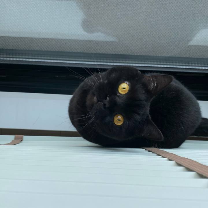 B97d0281 2e55 44f5 a82c cf62420b5a03 1738914023183