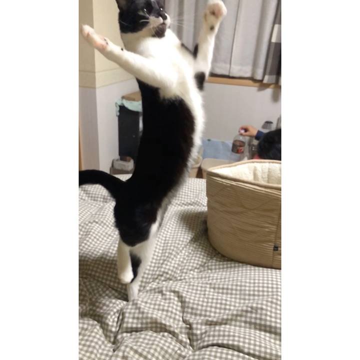 B97d24ce c406 4349 93a8 6ff9100ae661 1605974315403