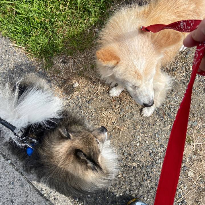 B97d3d03 8024 4562 a961 d870ee5f8749 1646965995689