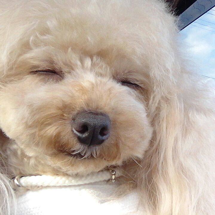 B97d3e9b 9dc4 4209 9059 1fff75fb2925 1537099680707