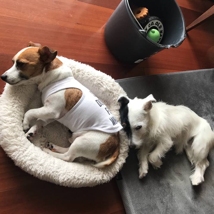 B97d3ec1 fc44 4af1 aa56 c4414d5aa73f 1723294644524