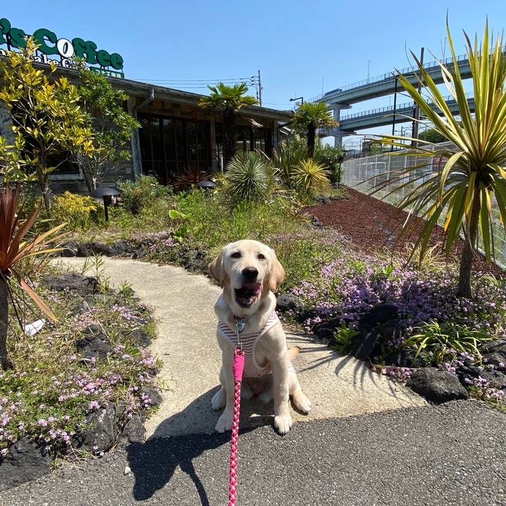 B97d5f8a 69ef 403b bb5e bb1683c38527 1618902808622