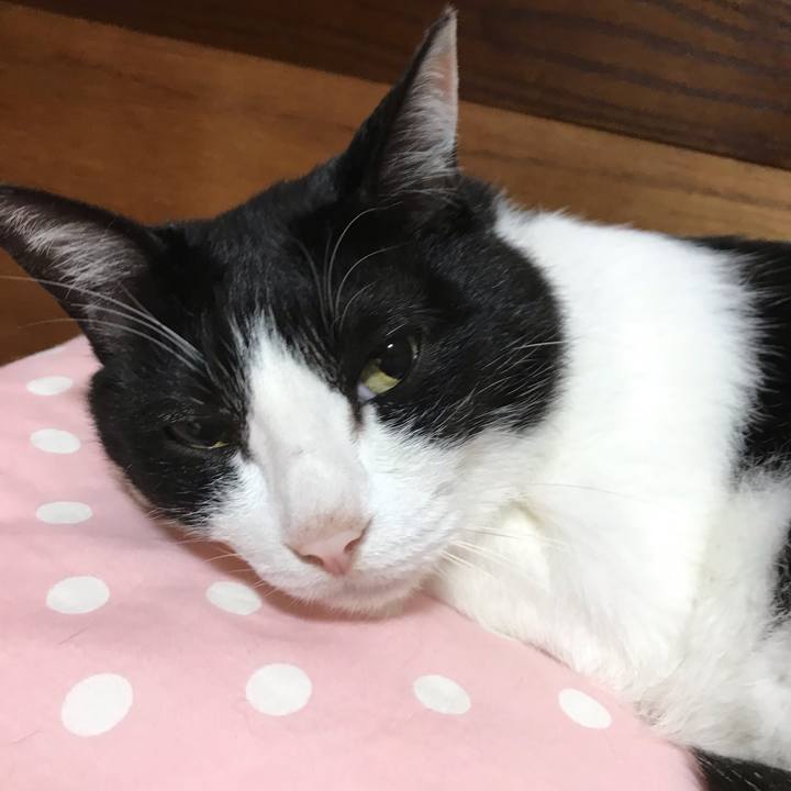 B97d62f9 b85a 45a0 89be 7314814475cc 1592484946624