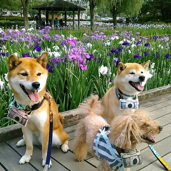 B97d8c82 a897 4f5e 9734 b32f1b4557b0 1560238580821