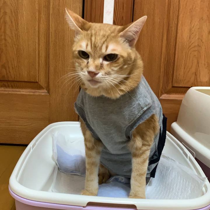 B97db064 4fce 4cd0 81c0 71b75c626bdb 1639480840145