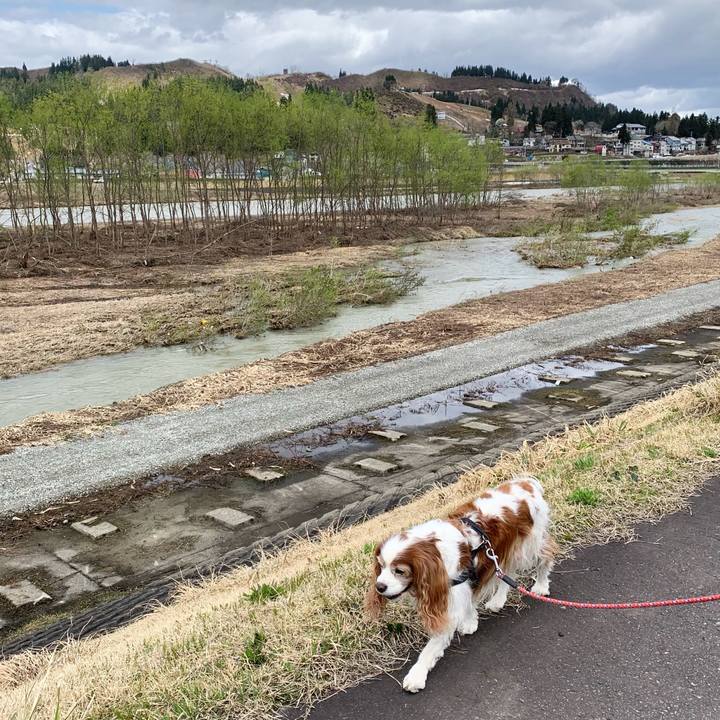 B97e054a 804e 42c8 b900 5c3c17c9be2d 1618708638335