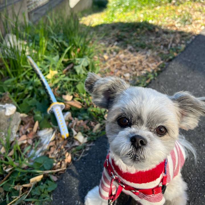 B97e47a8 0977 4971 a725 d7bd83f2f924 1641284807764