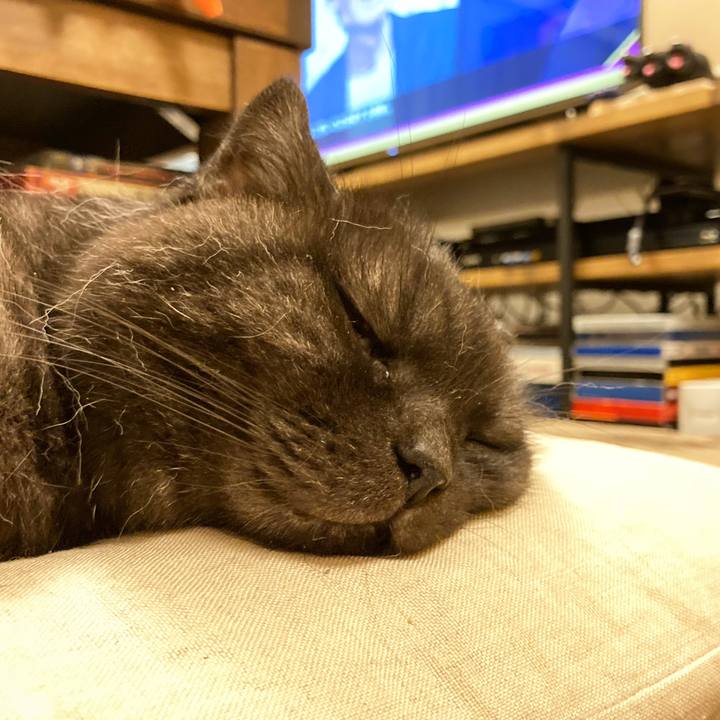 B97e4f48 68d0 4daf 997c 3582218b0d1f 1598113194727