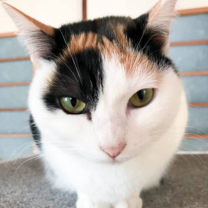 B97e8412 d6a1 4fd7 986b 70a1ddba5688 1518223457007