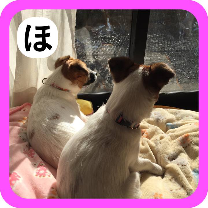 B97eb462 8f05 4562 a2d8 360de3c2f682 1514782746618