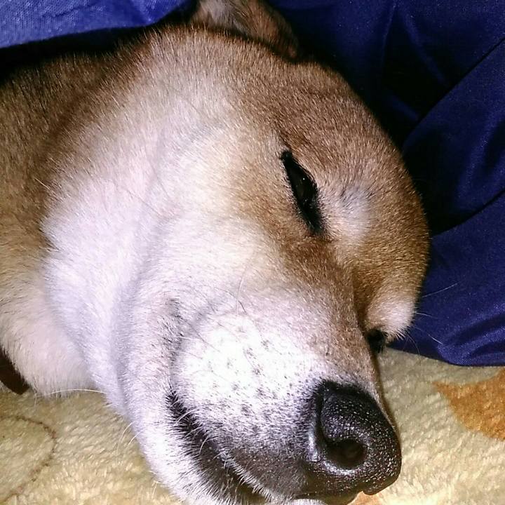 B97f0294 e110 48fb a4e5 1adf2300ebe8 1579177188305