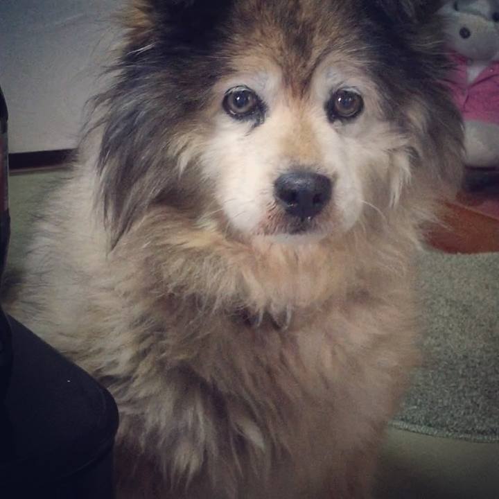 B97f06db 87d5 4e82 a991 d25c4db841bd 1609643931644