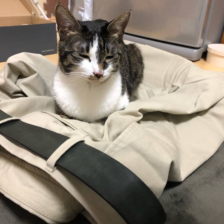 B97f1a5e 0eb2 49a3 b7ad 90dc91f60980 1522684483482