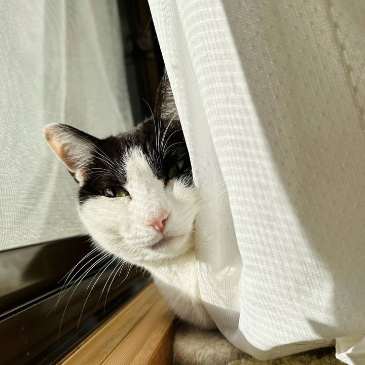 B97f67a4 4c61 4223 a66f bf2042bc559e 1674612650573