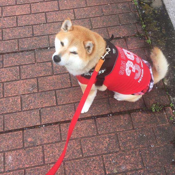 B97f8625 b936 4e36 afc0 1fda5e2ff46b 1579836762226