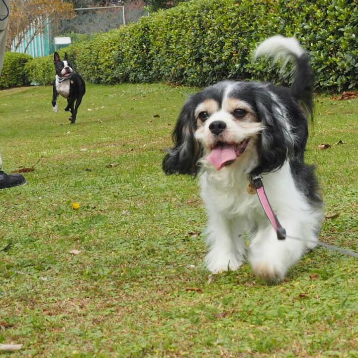 B97fa2e2 dfed 4360 825e 95bdcbd37734 1540725976505