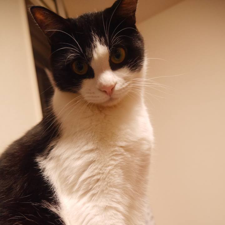 B97fa430 2f30 4ae4 b26f fc8687da2f46 1520911983506