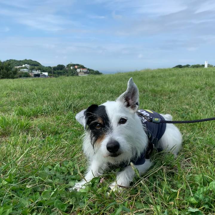 B97fc0a3 b2bb 4c55 9f7c 8469337c625a 1685579600995