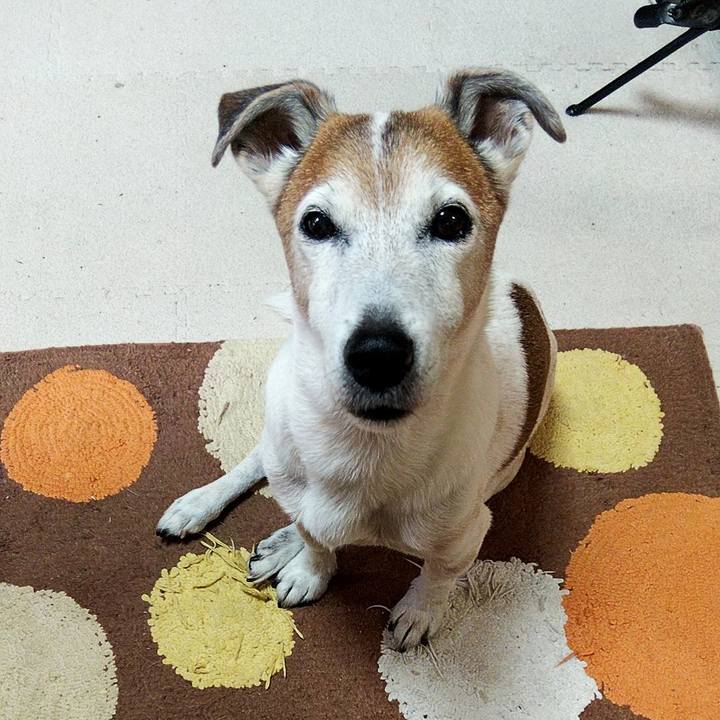 B9800222 9f1c 47f8 9e54 215c065f4144 1588457544857