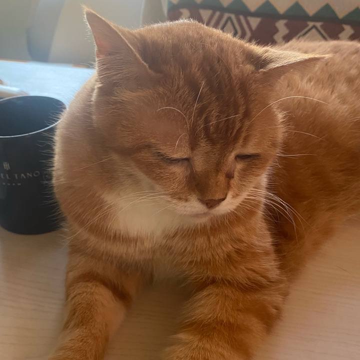 B98003b5 a6ac 4ce3 af3b c808285f57c1 1720080515340