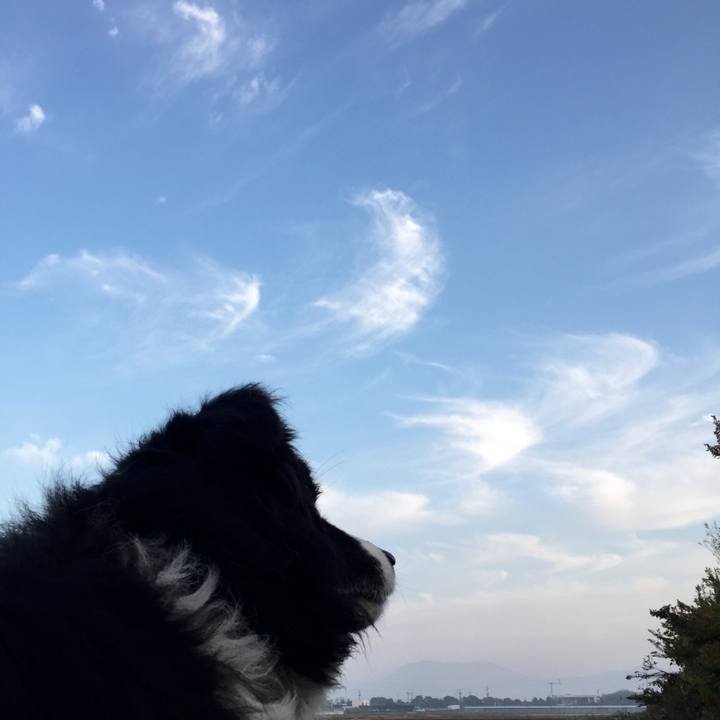 B9800c48 5535 4df2 8c76 6b759c9271aa 1543703747898