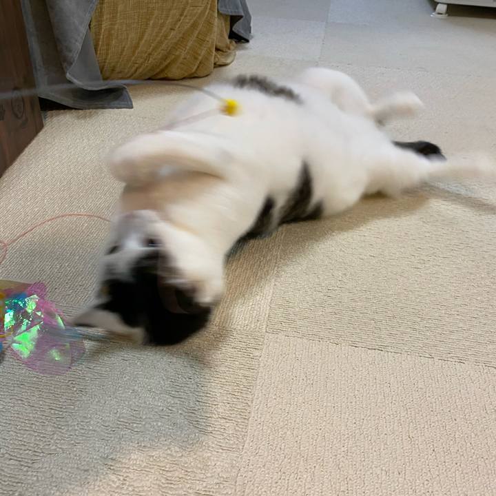 B980131c 1d55 4bcd a632 aec65136bed5 1763186633354