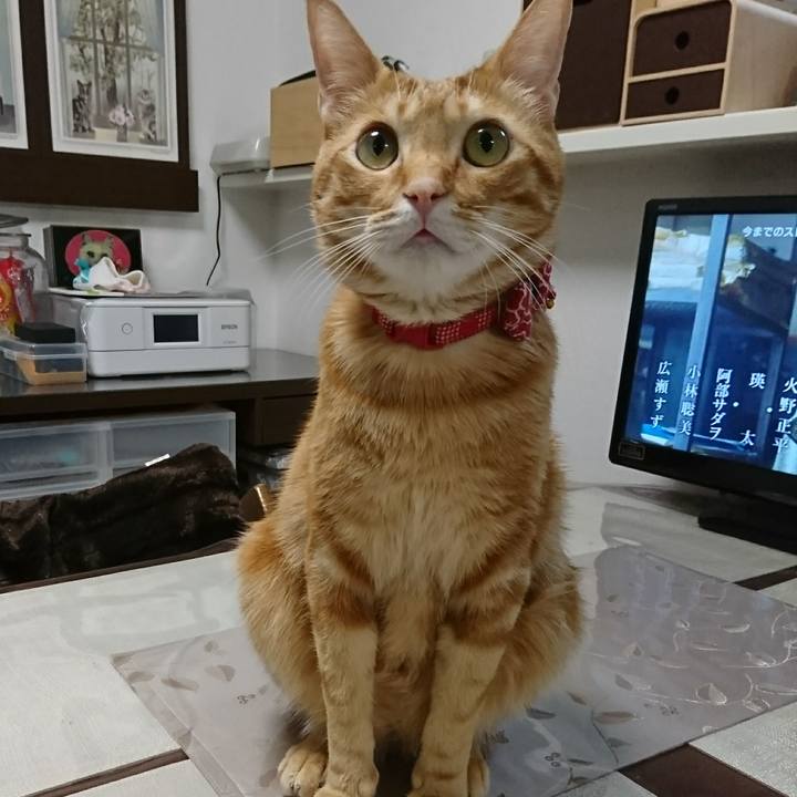 B9802f81 1c82 46ef 84e0 481cef6cb895 1516709130622