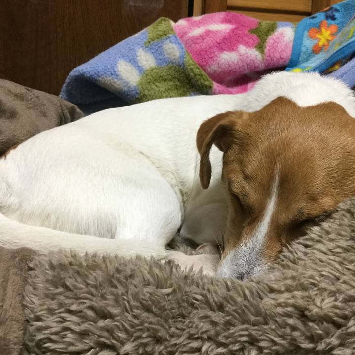 B980419e 0bb7 426e 9ffb 2cfc3fb5af63 1519559062371