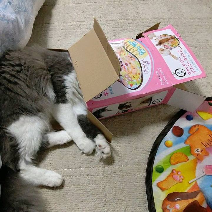 B98058cd 6492 4124 9861 9bf566e917c2 1581837541001