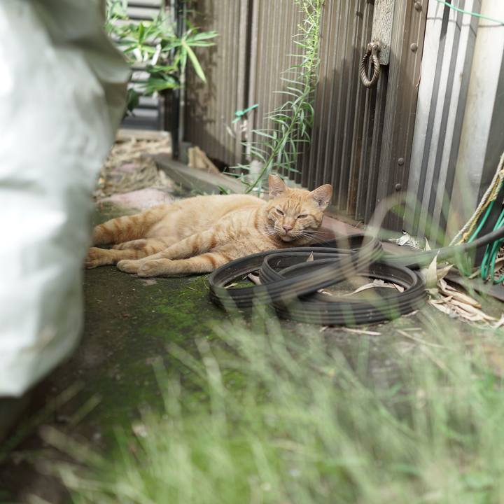 B9805ada b2b5 4b5a 9e58 1bad2ea37f43 1536741300271