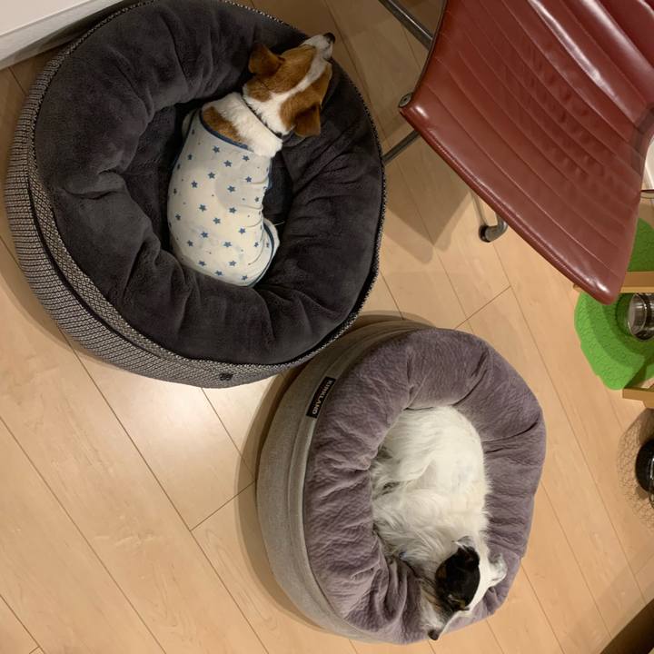 B9806230 69cf 400b acdc 9aaf589c2f5f 1633431753883