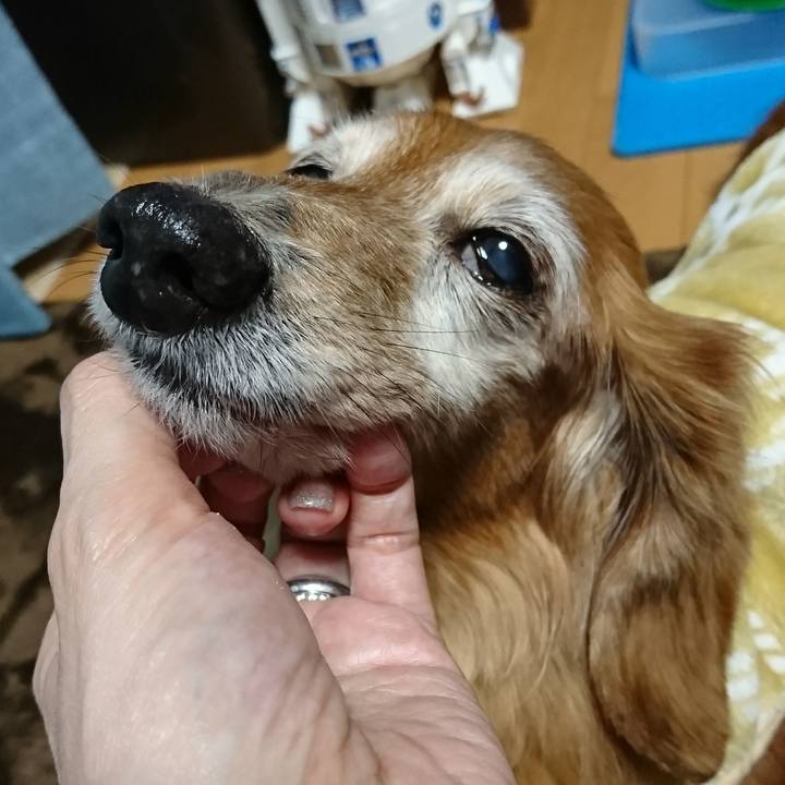 B980705c d1b2 4242 9576 b286021607cc 1515923421237