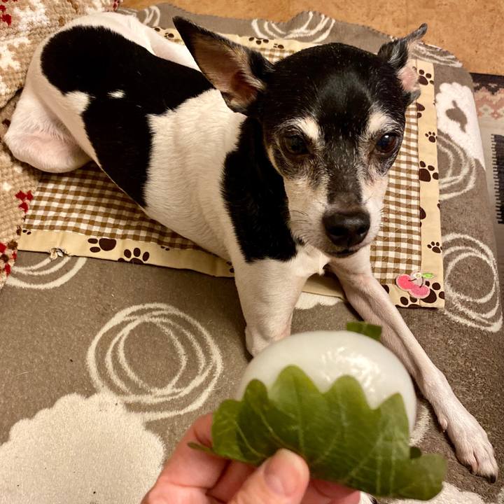 B980804f 845f 4fe4 b323 b618a8ff5322 1587593488423