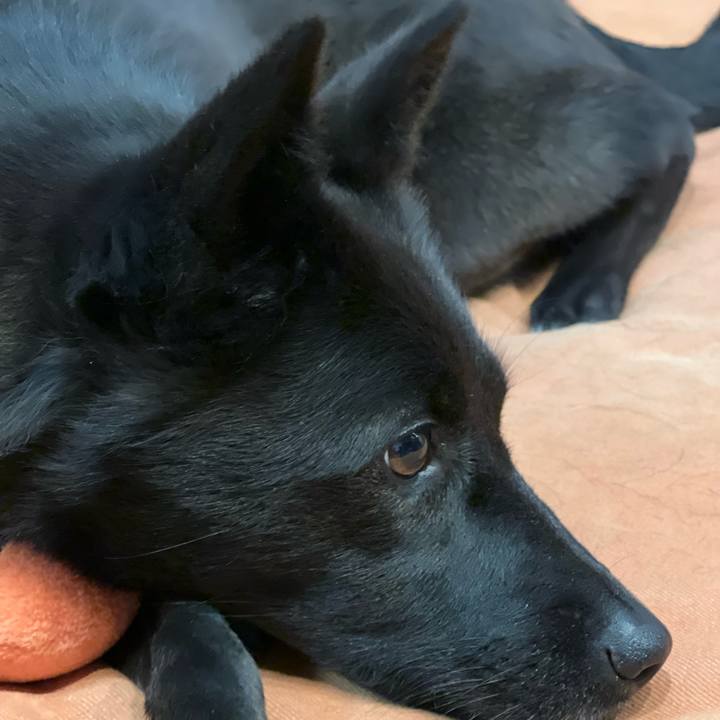 B98088a4 c282 45bc be4f 370d55f99b7e 1634344189270