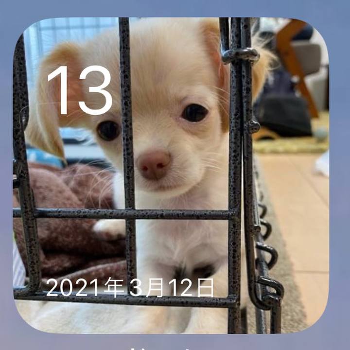 B9808bf9 05a0 4283 ac76 960cc8006a15 1678703632831