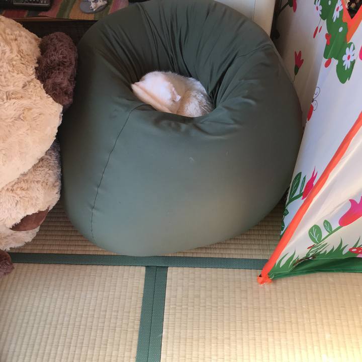 B980bb07 eb79 481d ac19 4c89fbf97305 1527892684993