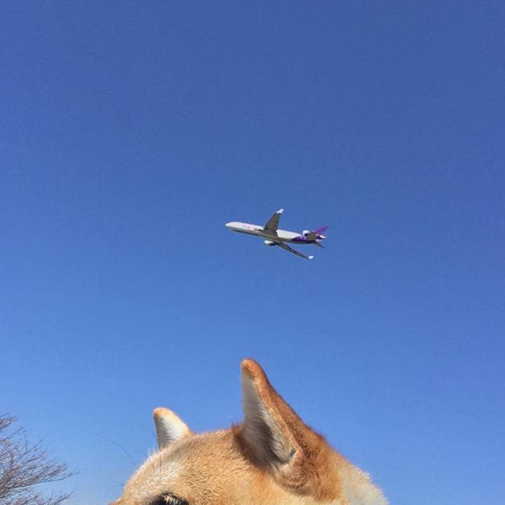 B980d60c 0867 4b98 a337 f18bc9299f9c 1600403726908