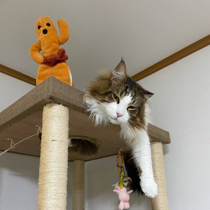 B9812b30 41a6 4432 9ea1 5ee2c5fd931a 1668462653647