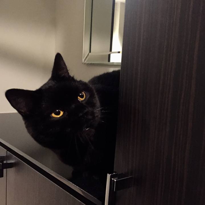 B98148e6 16e1 49ad acb2 c6db09e61d3a 1572349682056