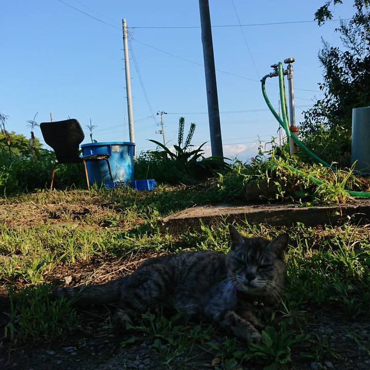 B9814cbf ee91 4053 b7e8 16bf4c380e6e 1598255916215